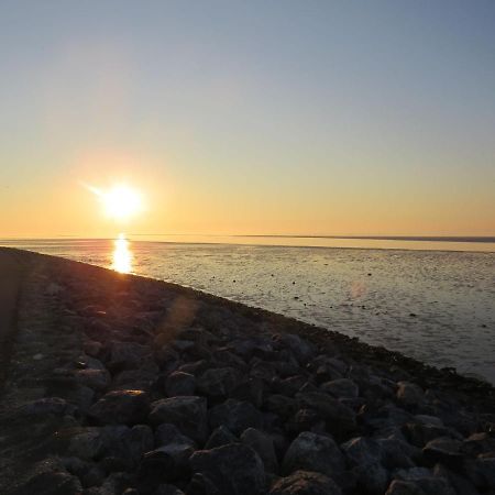 Bungalow In Nes On Ameland With Spacious Terrace 외부 사진